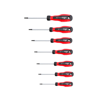 Set of screwdrivers BI with TX profile and hole 2630S S07